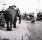 chi va piano va sano e...