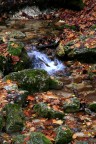l'autunno l'autunno