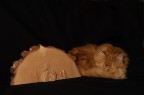 gatto...di natale gatto...di natale