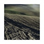 the color of the earth 11