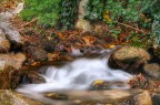 Un piccolo corso d'acqua Un piccolo corso d'acqua