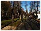 Il Viale del Tramonto... a mezzogiorno Il Viale del Tramonto... a mezzogiorno