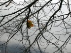 autunno autunno