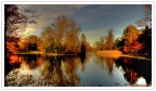 The Lake The Lake