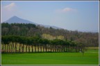 La primavera incalza La primavera incalza