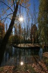 Controluce autunnale Controluce autunnale