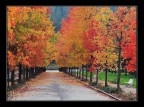 Voglia di colore.... Voglia di colore....