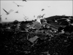 DISCARICA DISCARICA