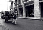 1 Hp da lavoro 1 Hp da lavoro