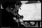 Violinista Violinista