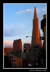 If You are Going to San Francisco... If You are Going to San Francisco...