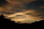 Alba Alba