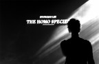 The Homo species The Homo species