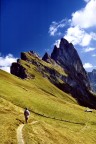 Alpe di Seceda Alpe di Seceda