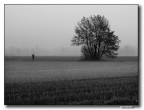 ::: IN UNA FREDDA DOMENICA MATTINA D'AUTUNNO ::: ::: IN UNA FREDDA DOMENICA MATTINA D'AUTUNNO :::