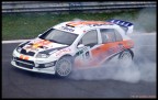 Skoda burnout