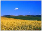 ....campi colorati.... ....campi colorati....