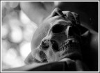 Thanatos Thanatos