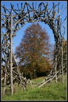 Suggestioni d'autunno Suggestioni d'autunno