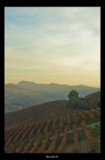 Langhe Langhe