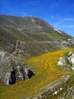 La strada che ogni giorno percorrerei La strada che ogni giorno percorrerei