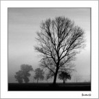 Andante,con sentimento Andante,con sentimento