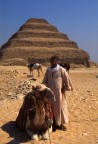 Cammelliere egiziano