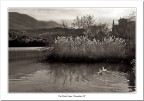 Lago di Toblino #2 Lago di Toblino #2