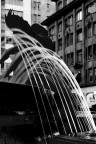 Water activity Water activity