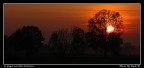 Tramonto di una domenica di inizio novembre.

Dati EXIF:

Model: NIKON D70
ISO Equivalent: 400 (0)
Exposure Time: 1/6400 Sec.
Aperture: f4
Lens: 80-200mm f2.8
Focal Length: 120mm
35mm Focal Length: 180mm
White Balance: SUNNY
Flash: Flash Not Fired;

PW:
Crop
Eliminati cavi elettrici
Passata NR con NeatImage