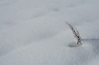 alla prossima neve vi saluto... alla prossima neve vi saluto...