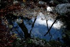 Tra Cielo e Terra Tra Cielo e Terra