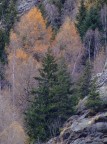 Autunno 6 Autunno 6
