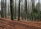 Luce d'Inverno Luce d'Inverno