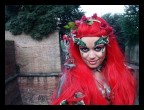 poison ivy poison ivy