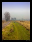Fog Fog