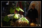 La zucca magica... La zucca magica...
