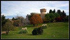volterra in autunno volterra in autunno