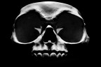 skull skull