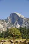 Half Dome - Yosemite National Park Half Dome - Yosemite National Park