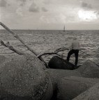 Povere biottiche maltrattate (ed annacquate) da un cielo min