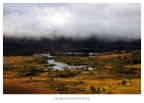HARDANGERVIDDA - NORWAY