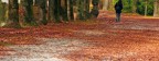 Camminata autunnale Camminata autunnale