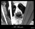 Mi Manchi! Mi Manchi!