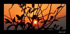 Tramonto D'Autunno Tramonto D'Autunno
