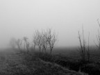nebbia