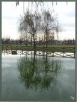 Riflesso.... Riflesso....