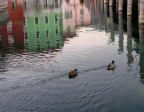 Riflessi