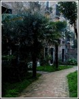 Giardino condominiale alla Giudecca