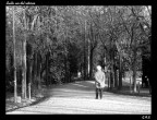 Sulla via del ritorno Sulla via del ritorno